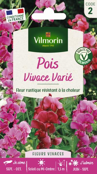 Fleurs - Pois Vivace Varié - PACKAGING_RECTO